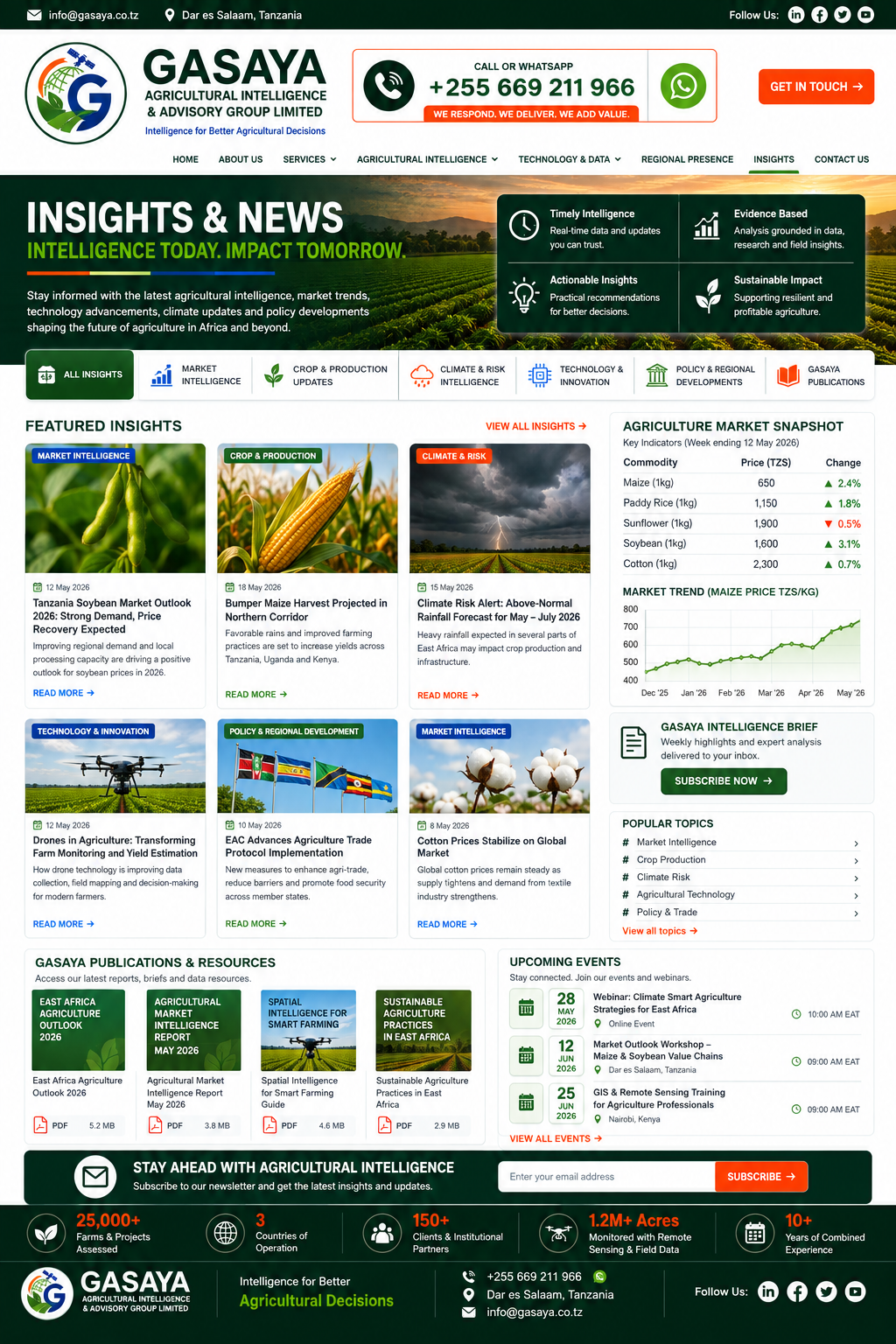 Approved GASAYA Insights & News website design
